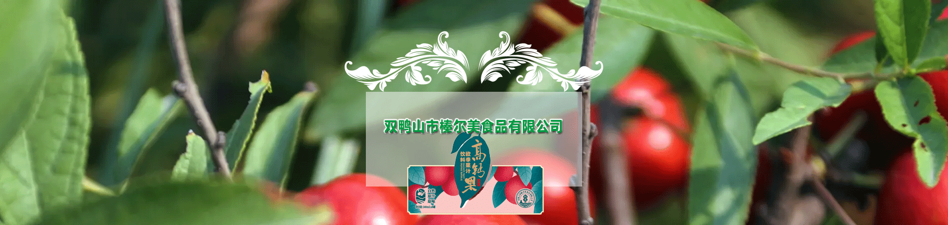 資質(zhì)證書(shū)